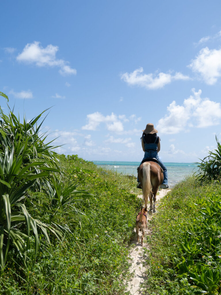 その他のウェディング