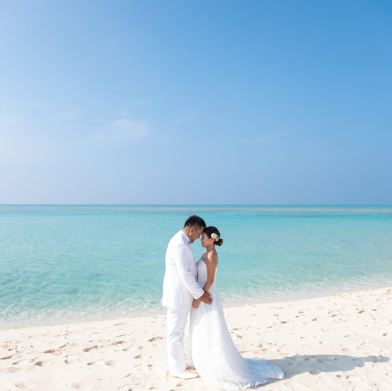 はての浜プラン